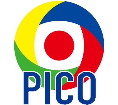 株式会社 PICO Japan