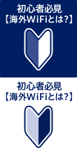 初心者必見【海外WiFiとは？】