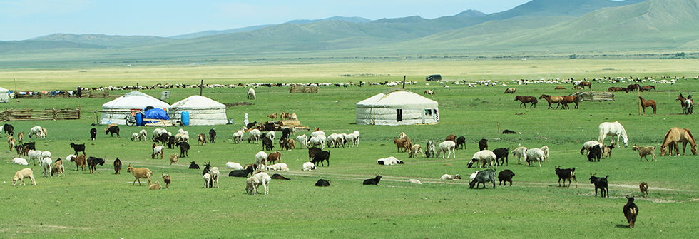 モンゴルで使えるWiFiレンタル