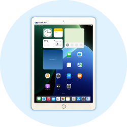 iPad