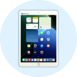 iPad